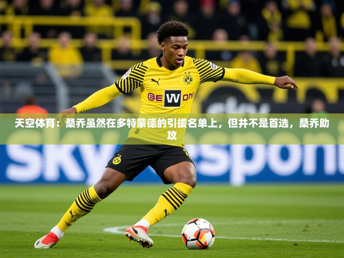 2025华体会体育网站国米赞助商天空体育：桑乔虽然在多特蒙德的引援名单上，但并不是首选，桑乔助攻